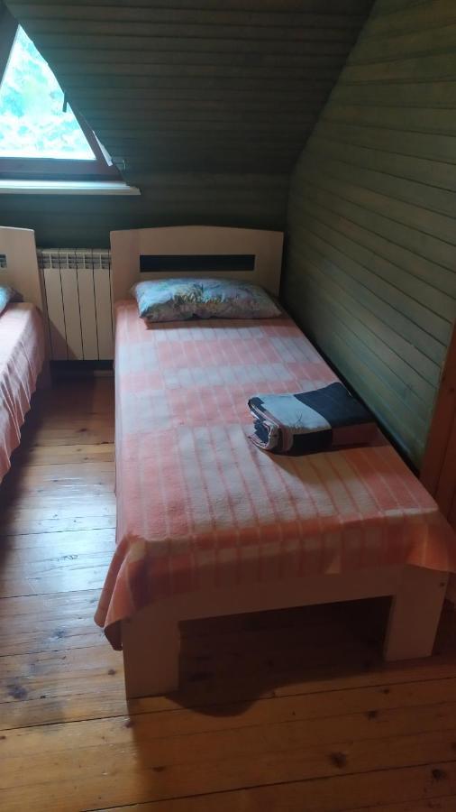 Zolota Rybka Villa Skhidnytsia Екстериор снимка